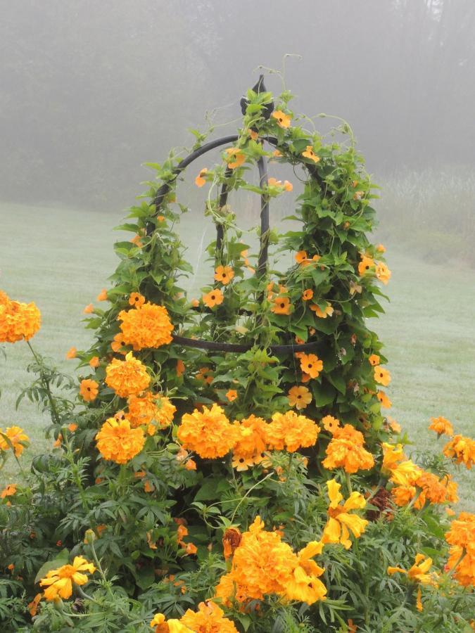 Orangère Et Table D'hôtes *